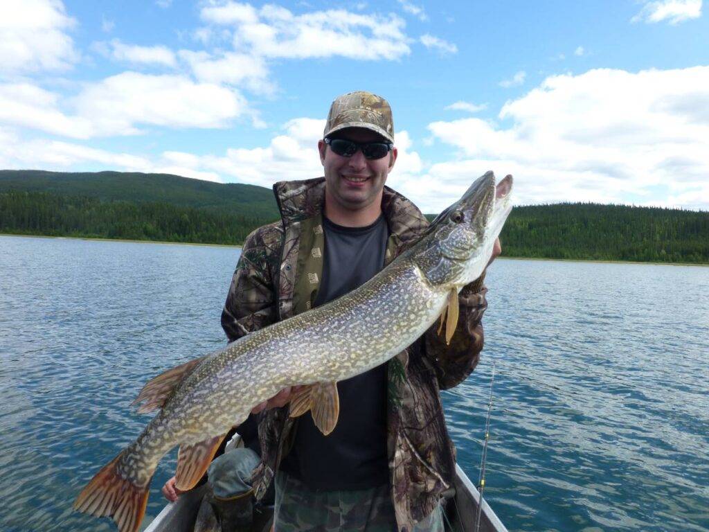 The Best Time To Catch Northern Pike - Grizzly Creek Lodge
