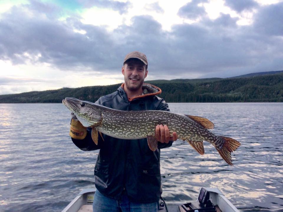 Mid-summer is a great time to catch northern pike if you find cool pockets of water.