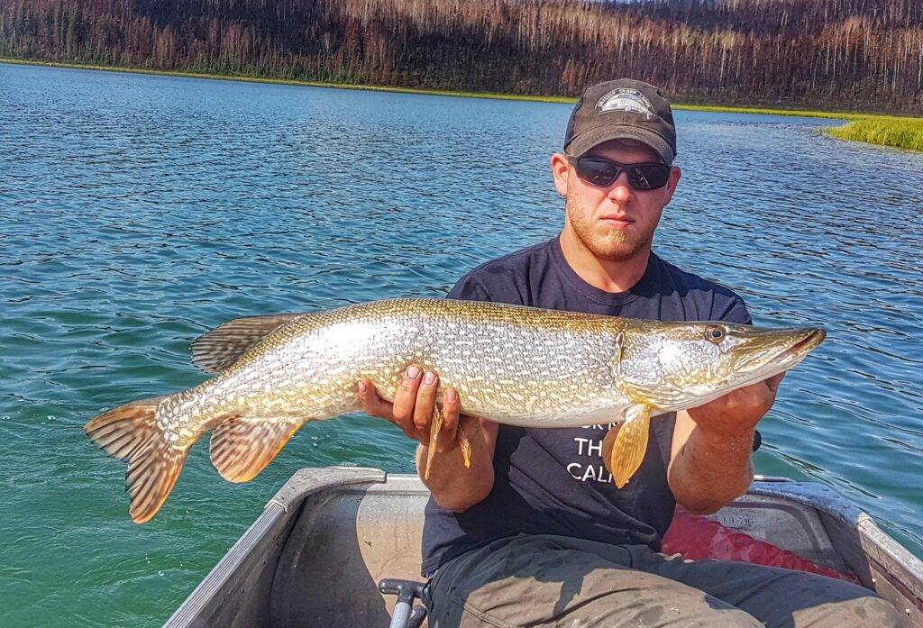 5 best northern pike lures